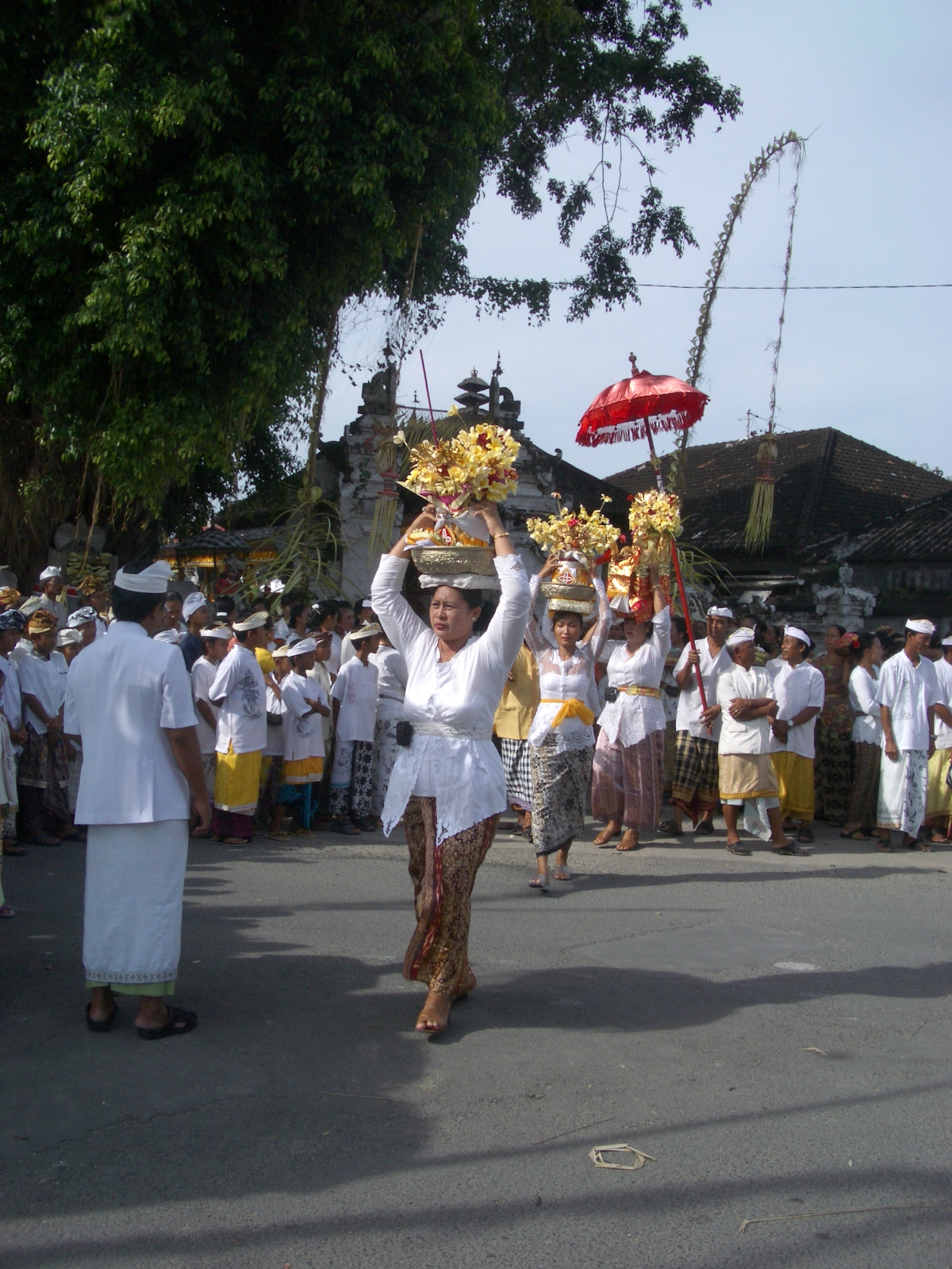 Drehen von IMGP1249.JPG